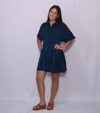 Collar Neck Waist Pleated Mini Dress