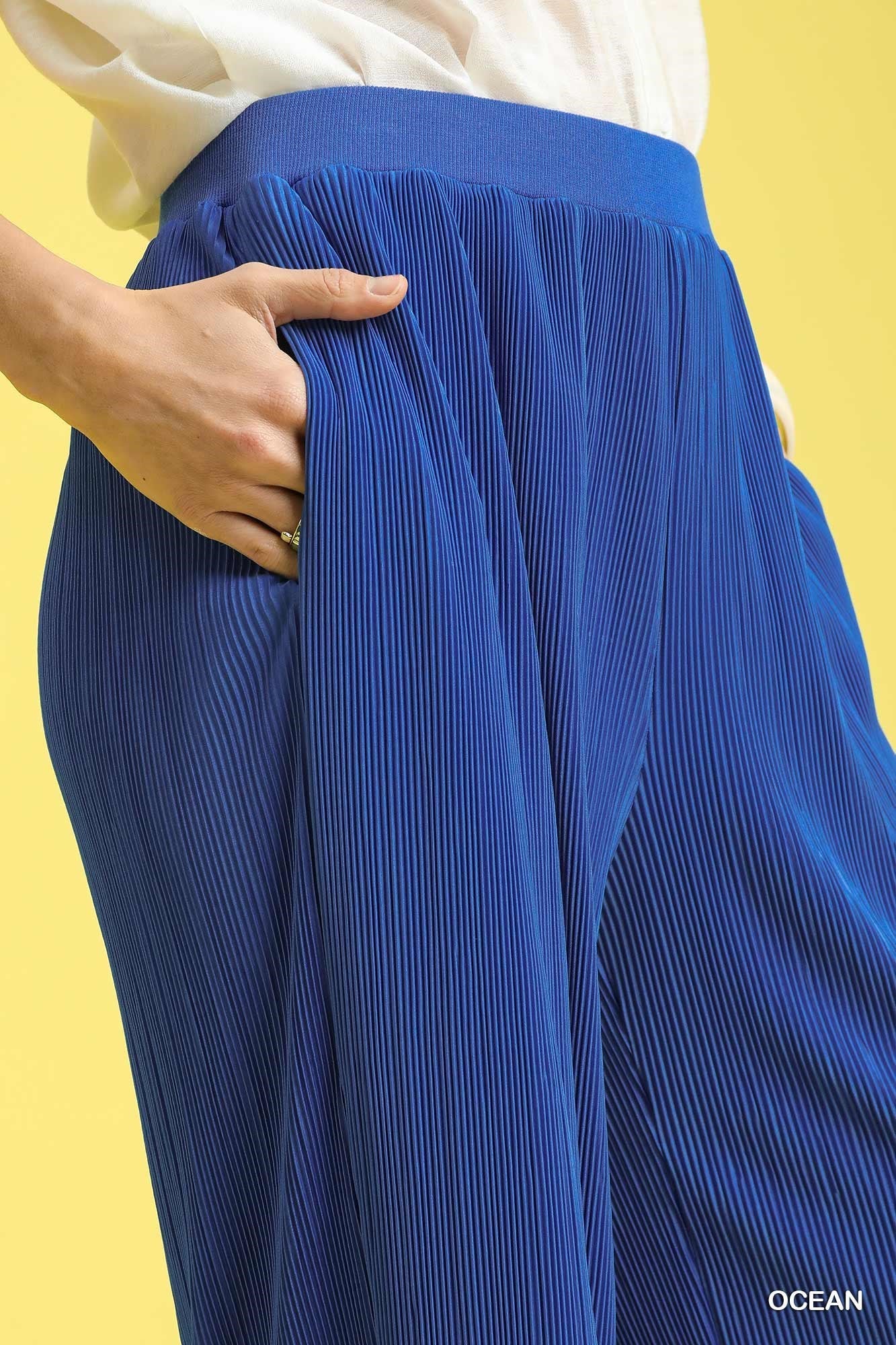 Sun Kissed Pleated Wide Legged Pants