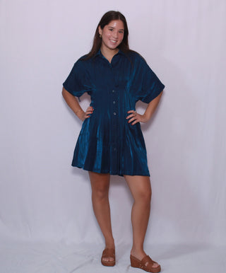 Collar Neck Waist Pleated Mini Dress