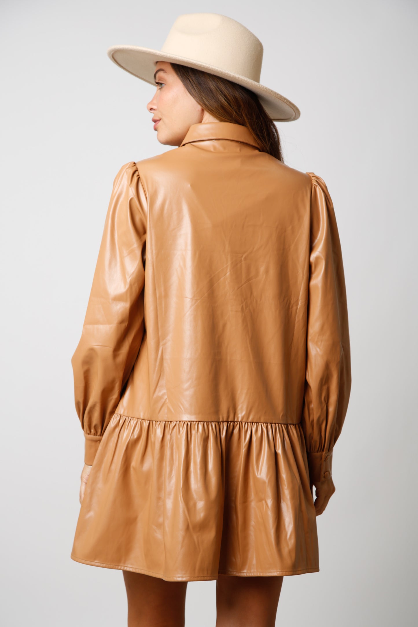 Saddle & Shine Dress