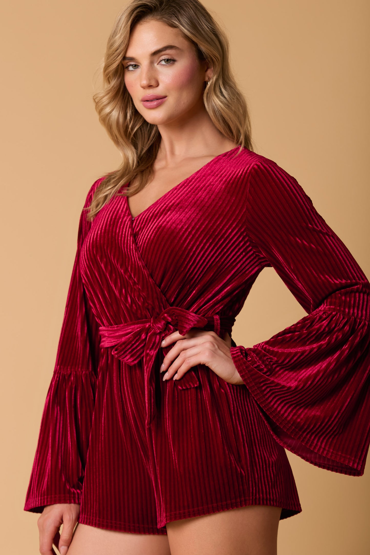Velvet Dress