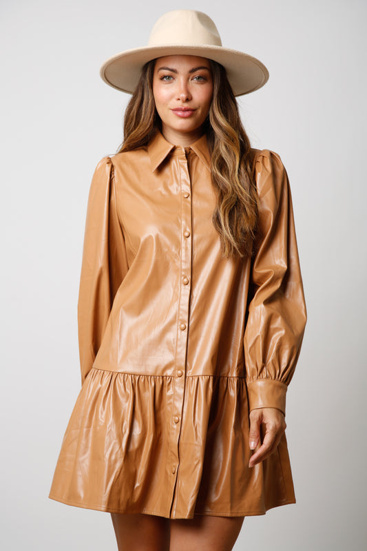 Saddle & Shine Dress